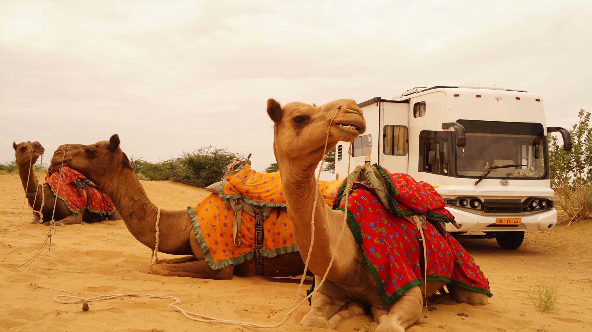 Rajasthan